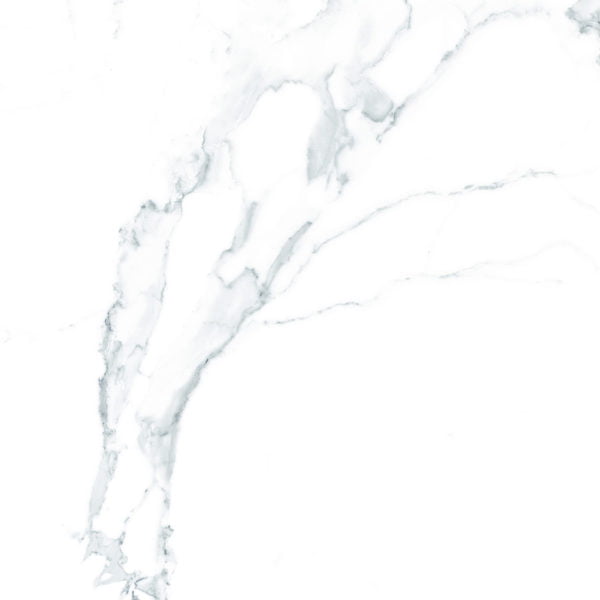 1001141SV Porcelanato Glazed Polish (600x600)MM
