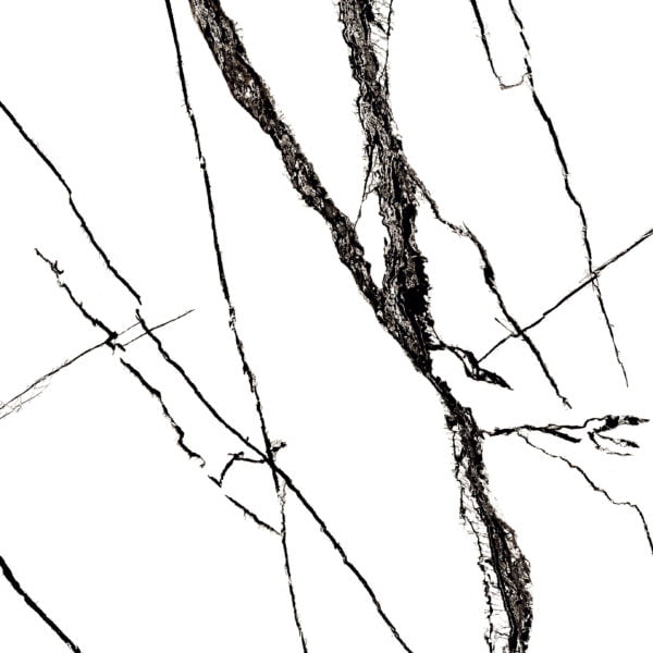 1001143SV Porcelanato Glazed Polish (600x600)MM