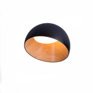 Lámpara tipo Plafon color negro Pasadena Black